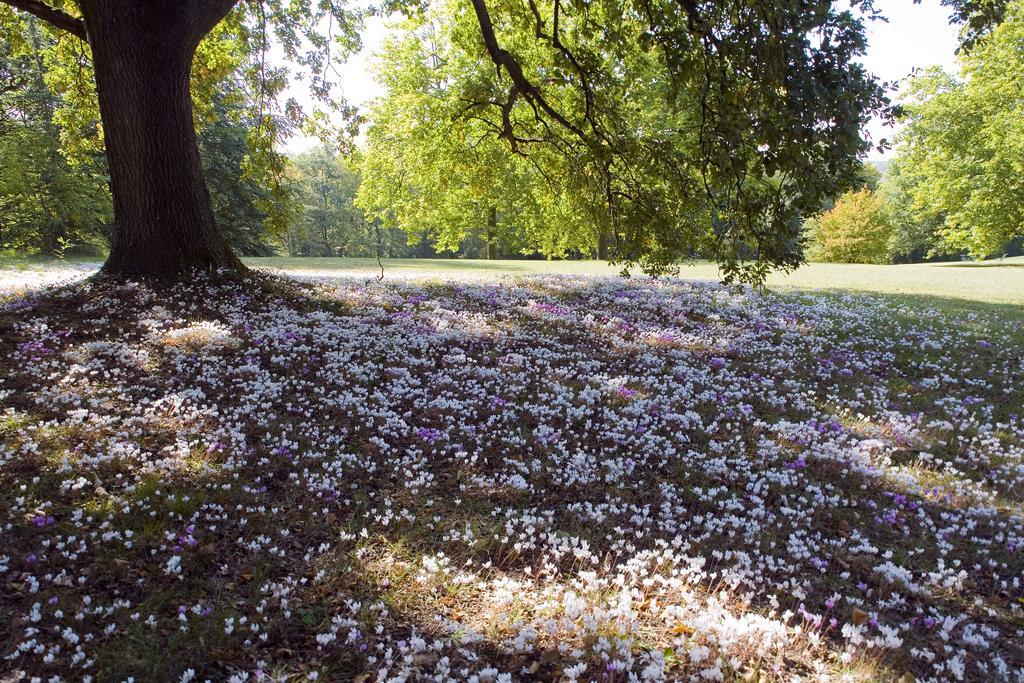 فندق Domaine De La Tortiniere Veigné المظهر الخارجي الصورة
